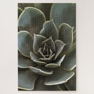 Garden Succulent Green Gray Tones Realistic Art Jigsaw Puzzle