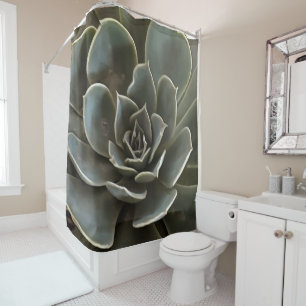 Garden Succulent Green Grey Tones Realistic Art