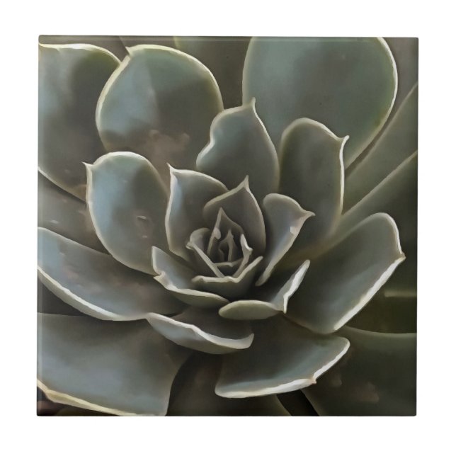 Garden Succulent Green Grey Tones Realistic Art Tile (Front)