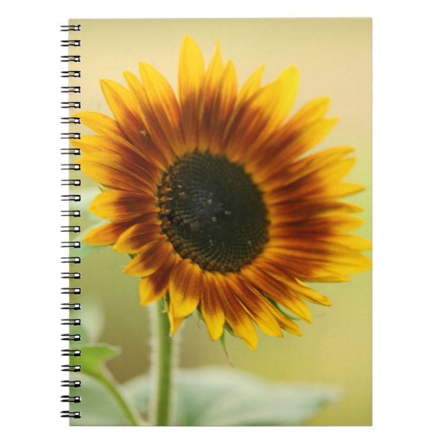 Garden Sunflower Notebook (Front)