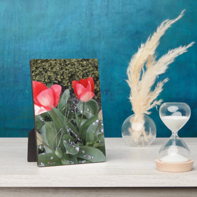 Garden tulips plaque (Side)