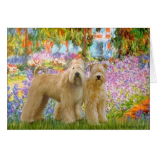 Garden - Two Wheaten Terriers