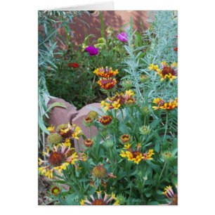GARDEN VARIETY