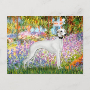 Garden - Whippet 11b Postcard
