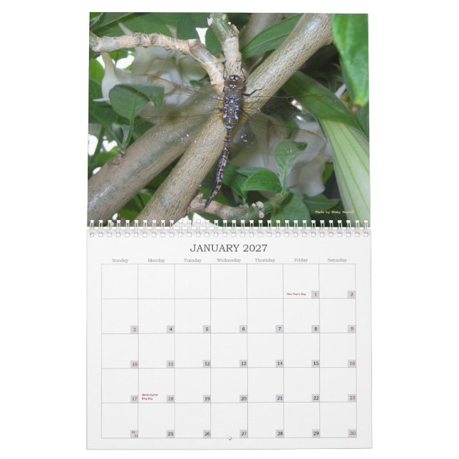 Garden Wonders Calendar 2013 (Jan 2027)
