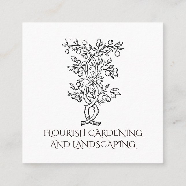 Gardener Landscaper Fruit Tree Branch Square Business Card (Front)