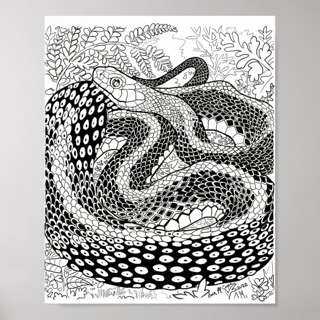 Gardener Snake Study Beyond the Skin Colouring Pag Poster (Front)