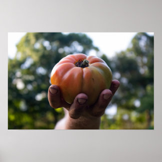 Gardener tenant une impression de tomate