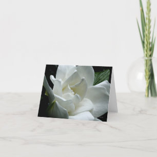 Gardenia Card