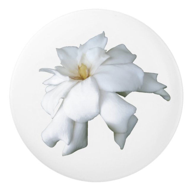 Gardenia Ceramic Knob (Front)
