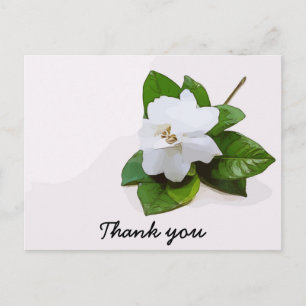 Gardenia fleurs Sympathy Merci Carte à plat