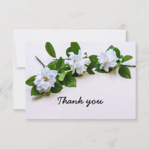 Gardenia fleurs Sympathy Merci Carte à plat
