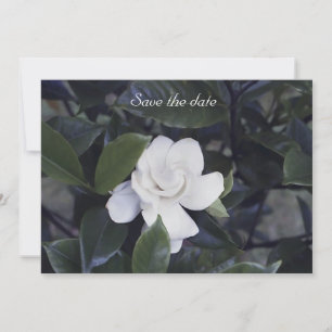 Gardenia Floral Enregistrer La Carte Date