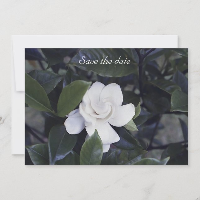 Gardenia Floral Save The Date Card (Front)