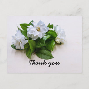 Gardenia flowers Sympathy Thank You Flat Card