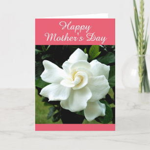 Gardenia Greeting Card
