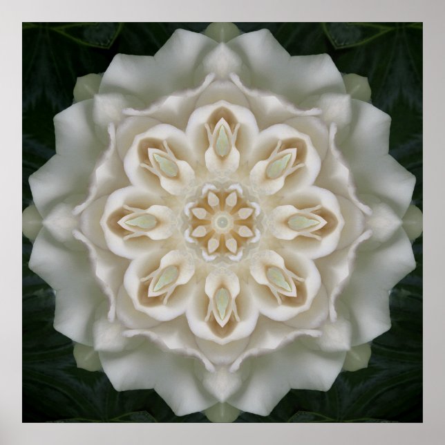 Gardenia Inner Glow Mandala Poster Print (Front)
