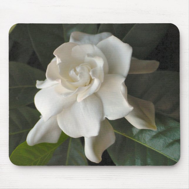 Gardenia Mousepad (Front)