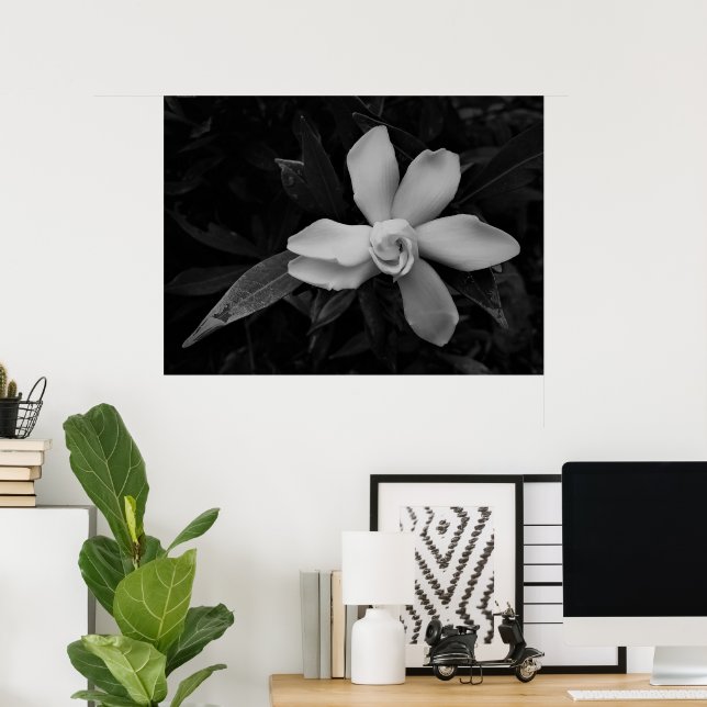 Gardenia - noir poster (Home Office)