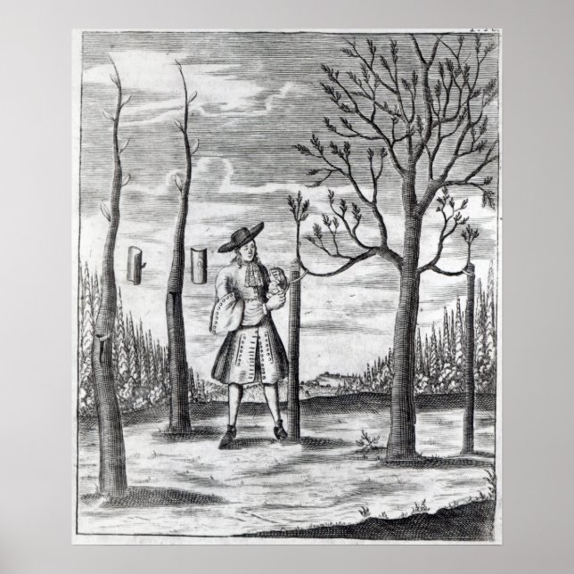 Gardening and Plant Maladies Poster (Front)