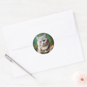 Gardening Cat Classic Round Sticker