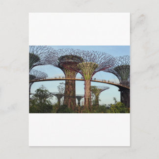Gardens by the Bay Singapore Supertree Grove Postcard
