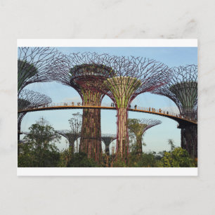 Gardens by the Bay Singapore Supertree Grove Postcard