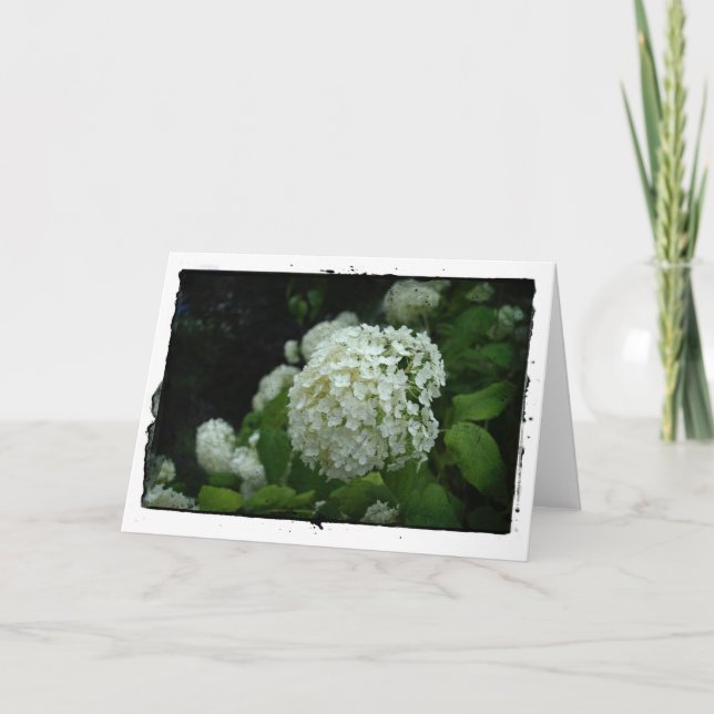 Gardens of Sweden Card (Front)