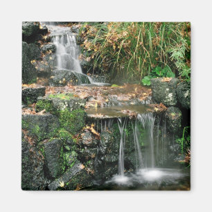 Gardent Delight Magnet