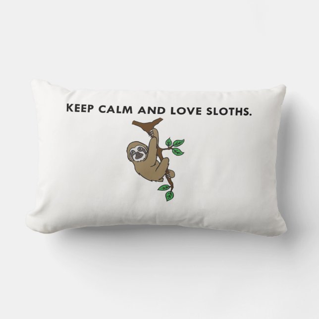 Gardez la caisse calme de coussin de paresse (Recto)