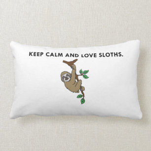 Gardez la caisse calme de coussin de paresse