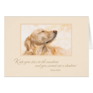 Gardez votre visage au soleil