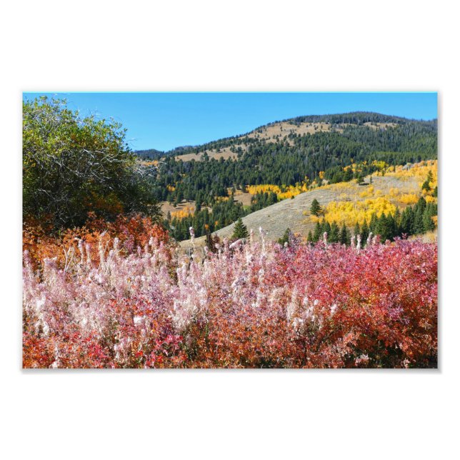 Gardiner Mountain Paint  Photo Print (Front)