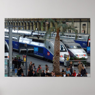 Gare de Lyon. Paris, France Poster