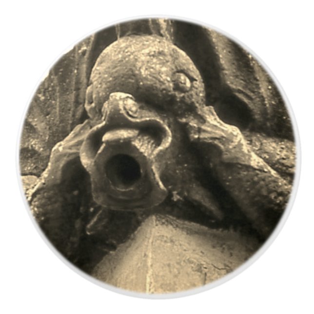 "Gargoyle" Ceramic Knob (Front)