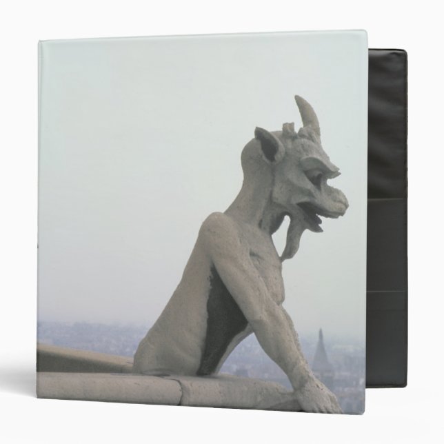 Gargoyle from the balustrade of the Grande Binder (Front/Inside)