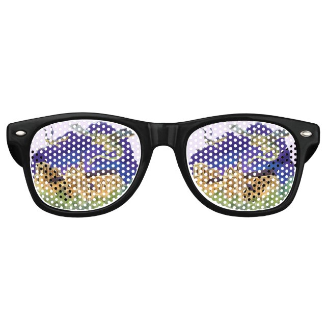 Gargoyle Notre Dame - Paris Dreams Fun Sunglasses (Front)