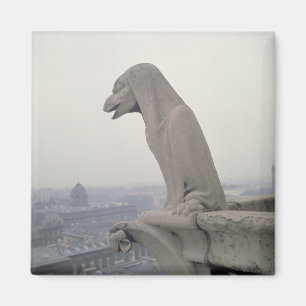 Gargoyle on the balustrade of the Grande Magnet