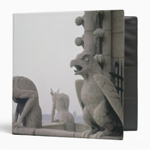 Gargoyles on the balustrade of the Grande Binder