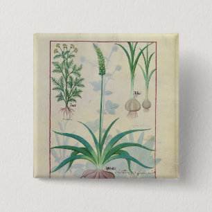 Garlic and other plants 2 inch square button
