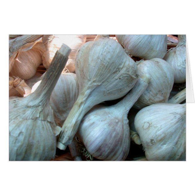 Garlic Blank Card (Front Horizontal)