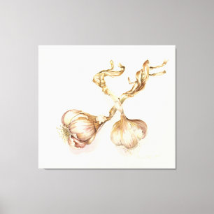 Garlic bulbs 2005 canvas print
