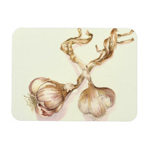 Garlic bulbs 2005 magnet