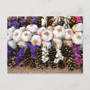 Garlic bulbs and pine cones postcard