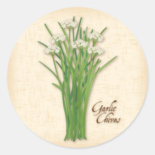 Garlic Chives Herb Round Stickers