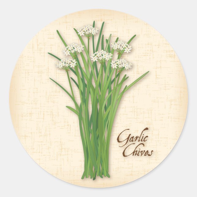 Garlic Chives Herb Round Stickers (Front)