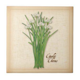 Garlic Chives Herb Tile