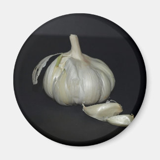 GARLIC MAGNET