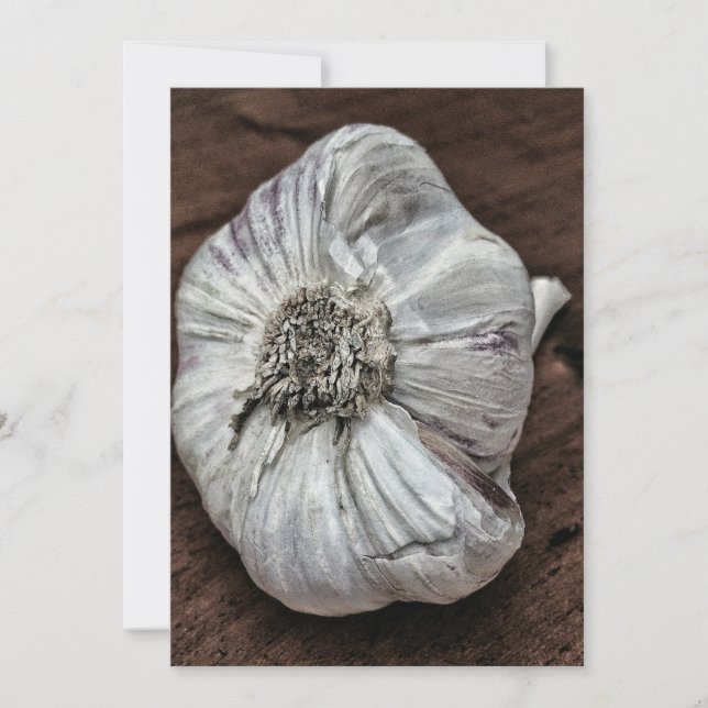 Garlic photo (Front)