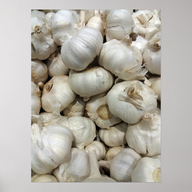 Garlic Poster (Front)
